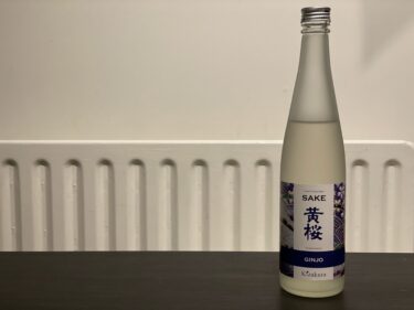 【2021母子オランダ移住】みりんを代用したい 料理酒を求め日本酒（Japanese Sake）を買った話
